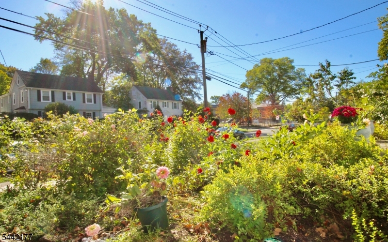 Upper Montclair - Residential