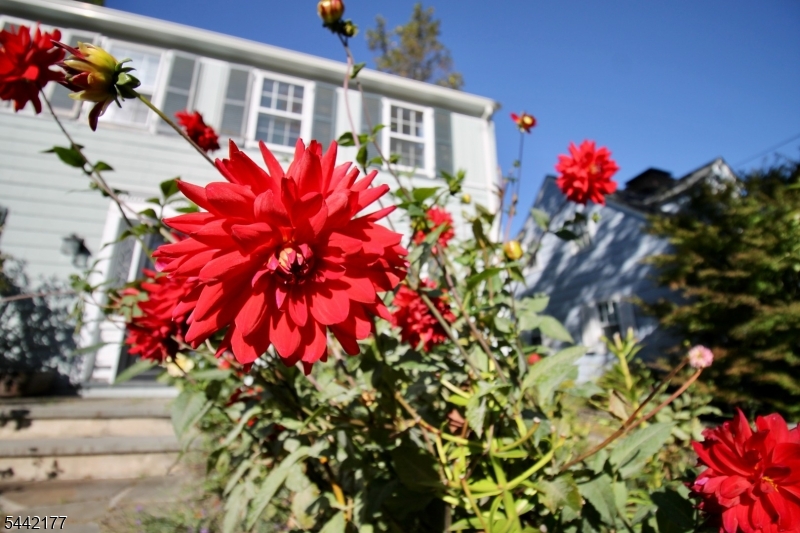 Upper Montclair - Residential