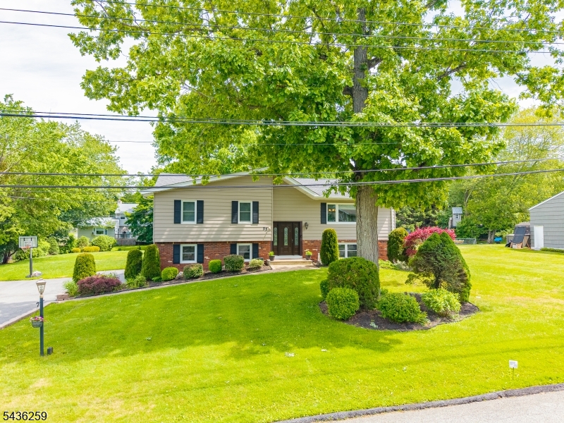 Cupsaw Lake - Residential