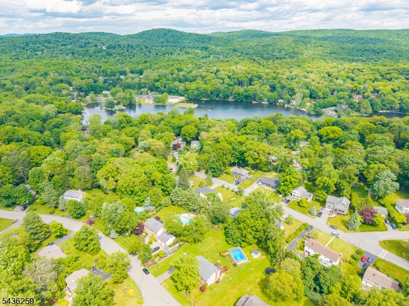 Cupsaw Lake - Residential