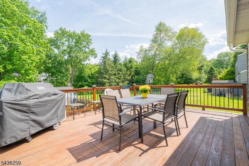 Cupsaw Lake - Residential
