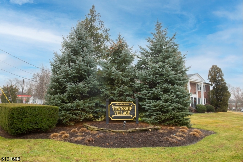 Township Village - Residential
