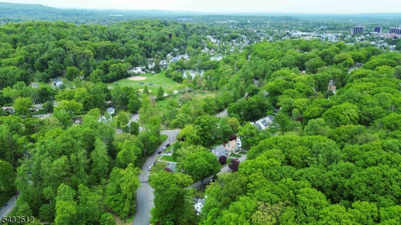Burnham Park - Residential