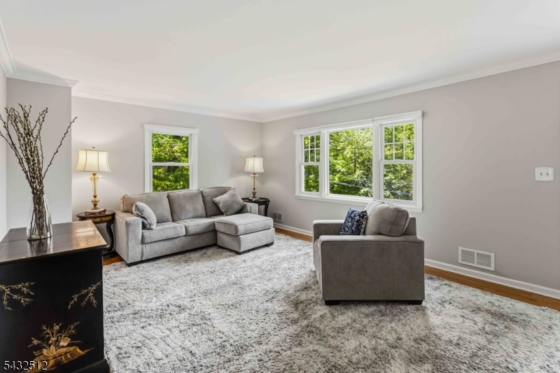 Burnham Park - Residential