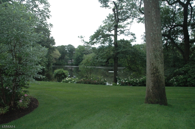 Old Short Hills - Residential