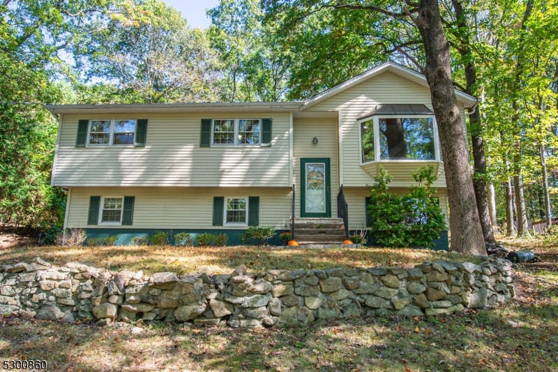 Welcome to this charming 3-bedroom, 1.5-bath Bi-Level set on a beautiful lot that backs directly to peaceful parkland, offering both privacy and a touch of nature right in your backyard. The home features a bright, functional layout with spacious living and dining areas, hardwood floors, and a lower level perfect for a future family room, home office, or hobby space. While some updates are needed, this home offers a great opportunity to bring your own vision to life. With solid bones, a convenient layout, and an unbeatable setting, this is the perfect chance to create your dream home in a neighborhood off the beaten path. Mount Olive is home to Turkey Brook Park with tons of fields, a splash pad, and many town events! Enjoy easy access to local schools, shopping, and major routes everything you need is just minutes away. Don't miss the potential this property offers!