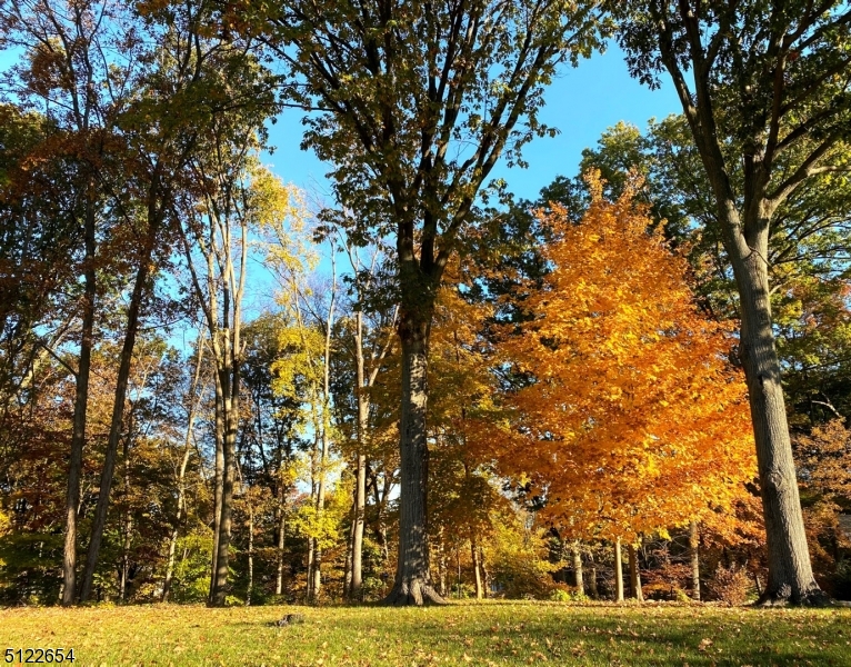 INTERVALE HEIGHTS - Residential