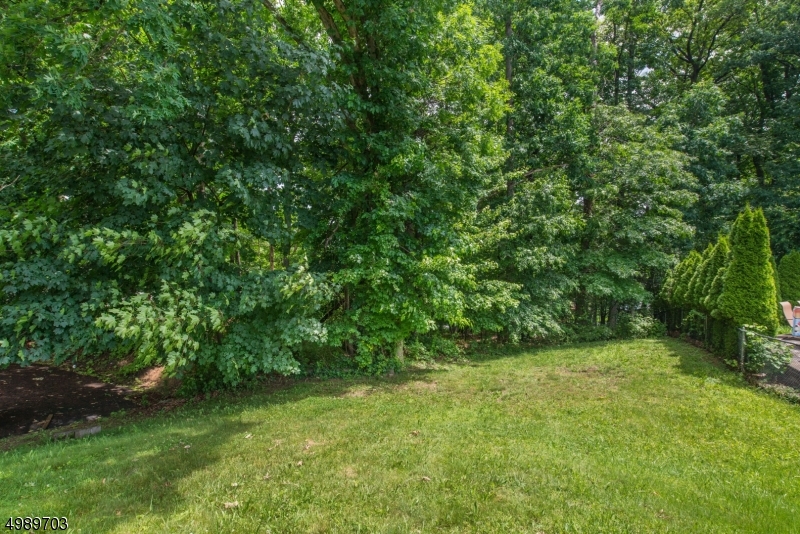 Parks Lake - Residential