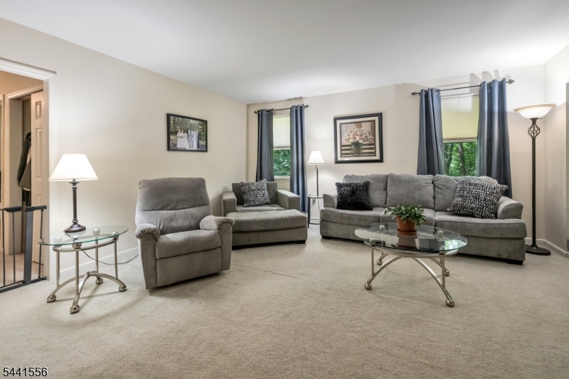 Budd Lake - Residential