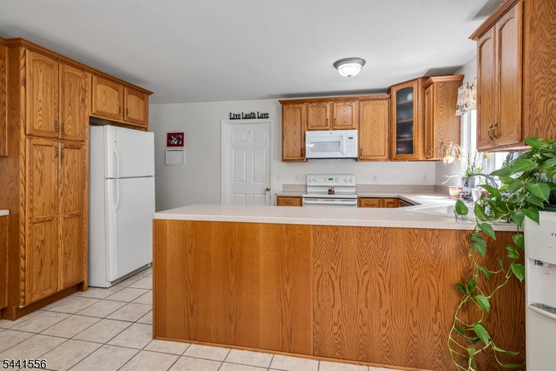 Budd Lake - Residential