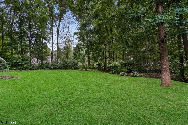 College Park - Residential