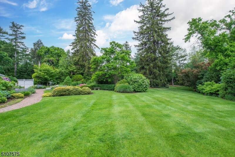Dellwood Park - Residential