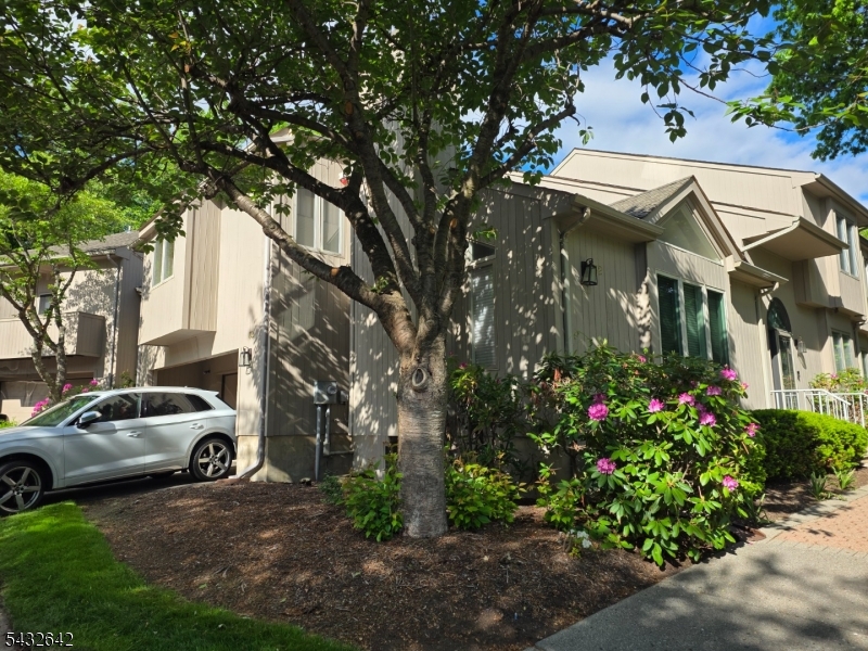 Spruce Edge - Residential