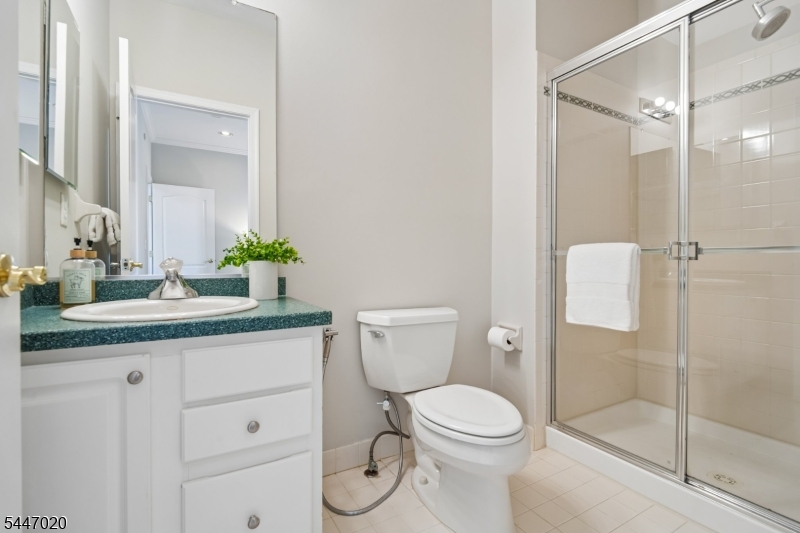 The Grande at Pleasantdale - Residential