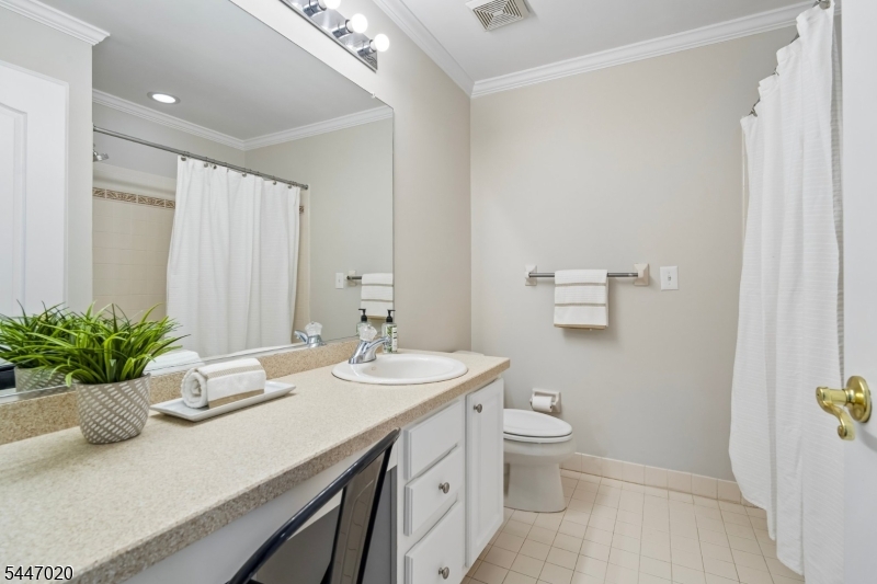 The Grande at Pleasantdale - Residential