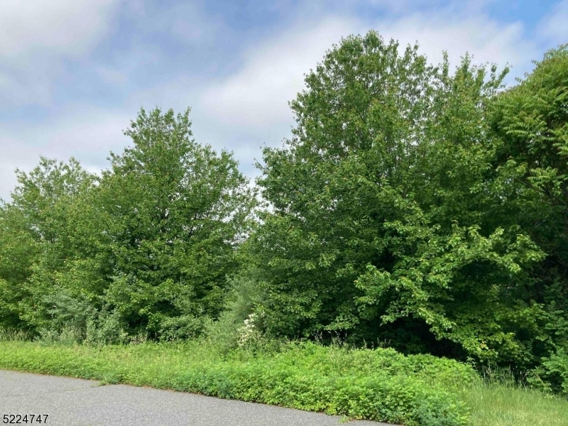Meadow Ridge Development - Land