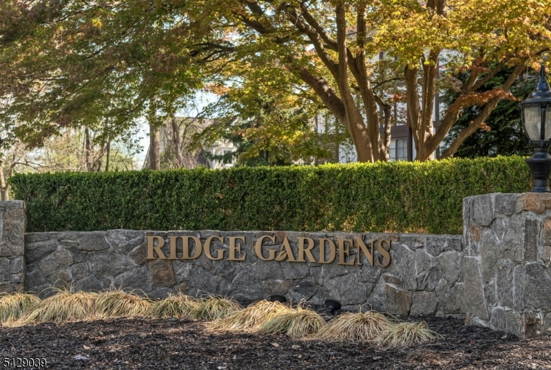 Ridge Gardens - Residential