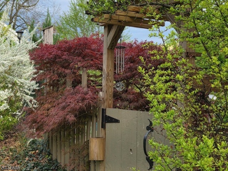 Finesville - Residential