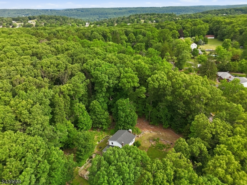 Beacon Hill - Residential