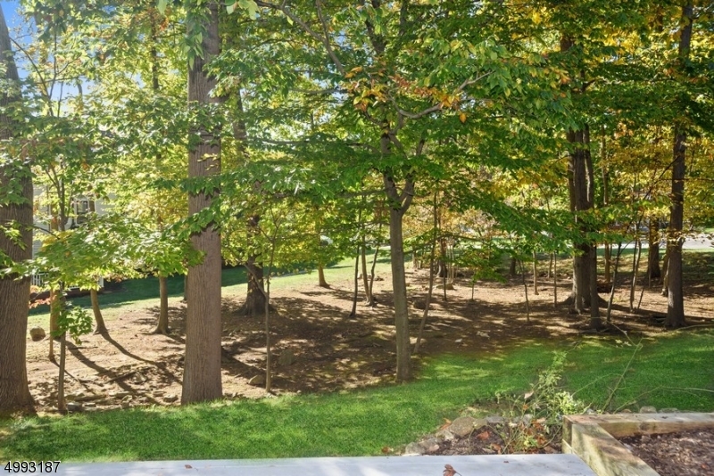 Mendham Commons - Residential