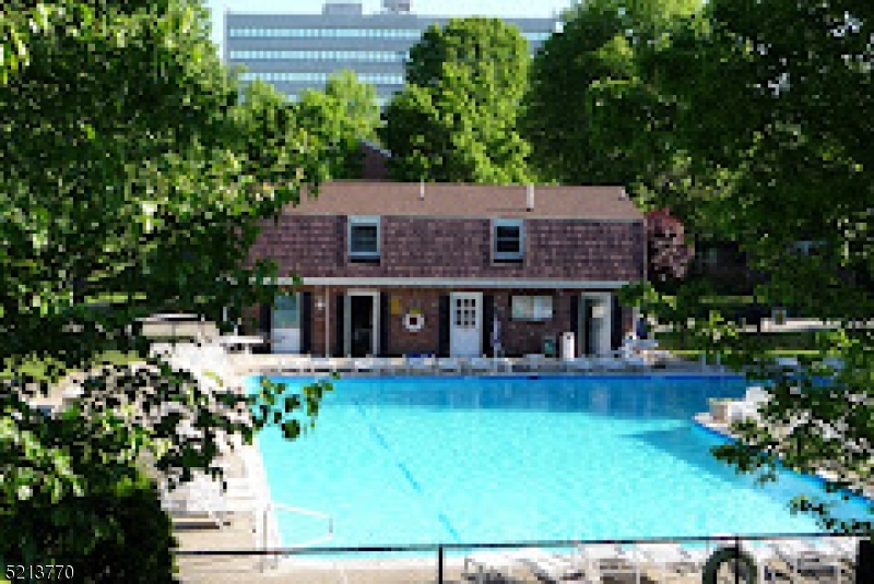 Immaculate one bedroom rental in Parsons Village. Brand new carpets and paint throughout.  Kitchen with gas stove and refrigerator. Living room and dining room along with one full bathroom, additional closet space and one bedroom with 2 huge closets, Private deck overlooking the pool. Close proximity to Morristown Hospital, Morristown restaurants and shoppes,287, 78, 24, the train either Convent Station or Morristown and parks. NTN report required.
