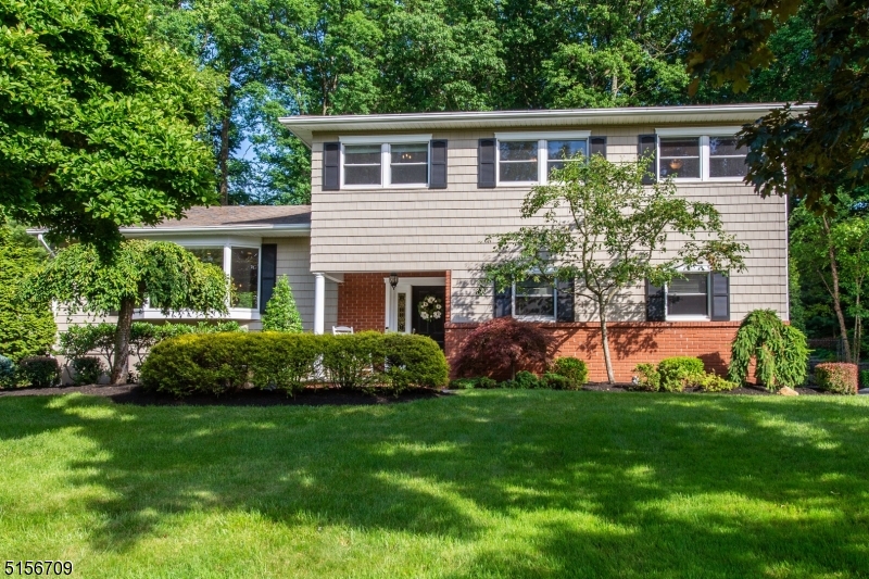This beautiful split level home in sought after neighborhood checks all the boxes. Open Concept, hardwood floors, recessed lighting, crown molding, stainless appliances, granite counters, stone/glass backsplash, tumbled marble tile floor. Family Room with wood burning fireplace conversion to gas. Great Recreation Room w/storage. You will be sold the moment you walk through the living area. Bright space w/ oversized front window, French doors open to deck with beautiful views of the pool and park like back yard. Updated Kitchen equipped w/Breakfast Bar and sky light.  An ideal home for everyday living and entertaining. Check out the butler's pantry with granite counter, copper sink and wine fridge on family room/foyer/powder room level. Second floor hosts 3 bedrooms, full bath + master suite with bath. Stunning backyard! A private oasis designed to perfection. Deck, stone patio, natural gas grill, inground pool, dining space, koi pond/waterfall, space for games & volleyball + firepit and pool shed all fenced-in. Mature, manicured landscaping. Outdoor lighting makes this a favorite spot day or night. It doesn't get any better than this. 2 car garage and plenty of parking in driveway and quiet street. Public utilities, reasonable taxes, top rated schools, downtown shops & restaurants, bus & train direct into NYC, major highways. Totally Move-In-Condition. Just unpack & begin to enjoy on day one, all this home, neighborhood & Denville have to offer.