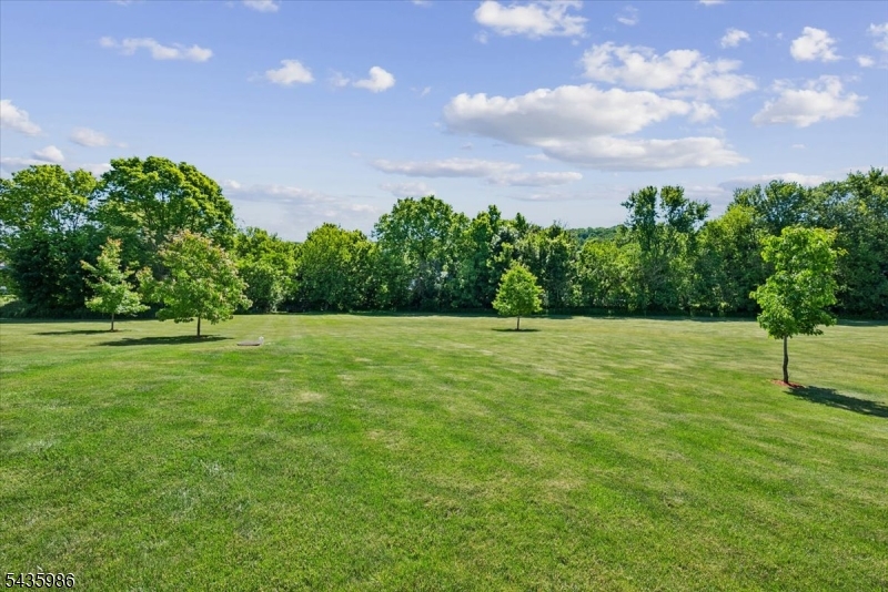 Signature Estates - Residential