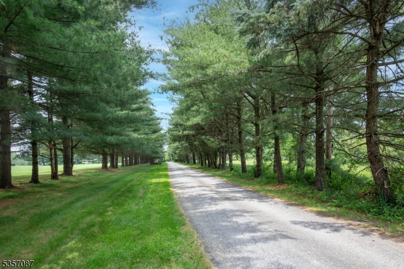 Wertsville Rd.to Rileyville - Residential