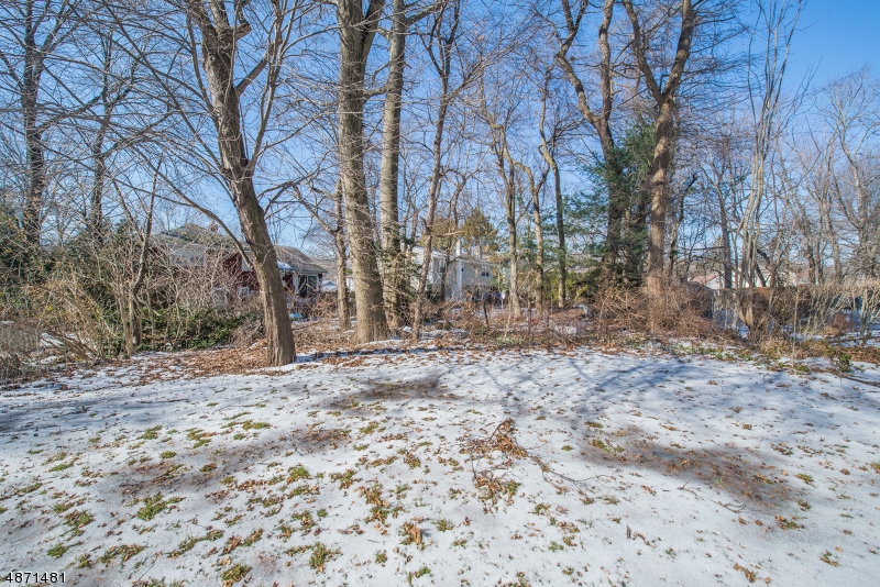 Indian Lake - Residential