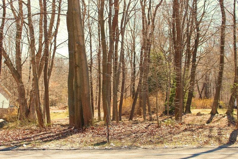 .04 acres of Vacant Land Located On Glen Rd.