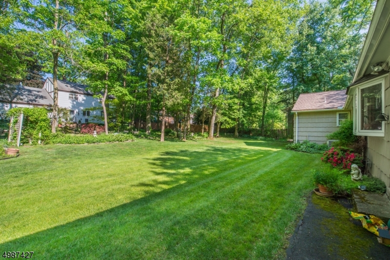 Pine Brook - Residential
