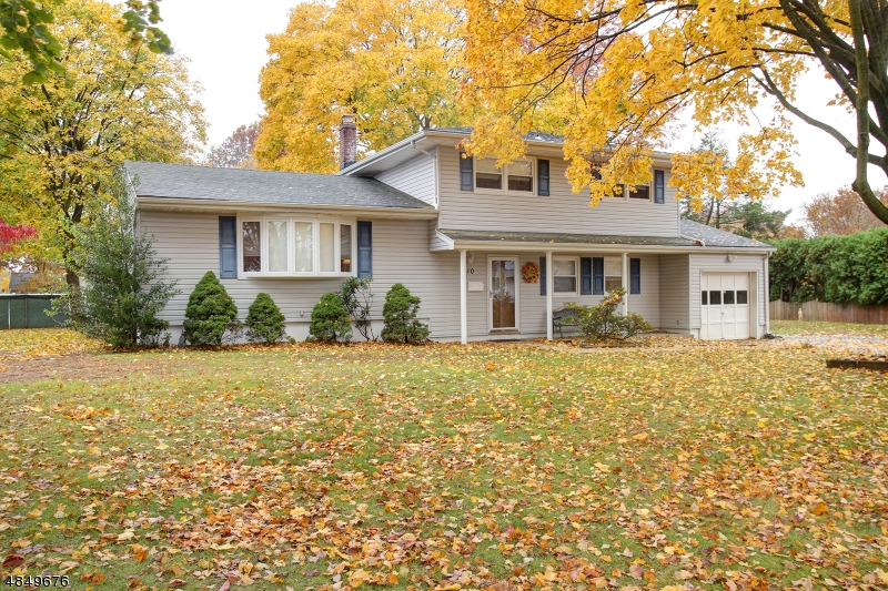 Wow! Over sized flat lot with an open, inviting split-level floor plan with tons of light. Newer windows, doors and vinyl siding in 2000. Eat-in-kitchen with custom cabinets. Separate dining room and living room with hardwood floors. First floor bedroom plus 3 bedrooms on 2nd level plus 2 full baths. Close to highways, shopping and mass transit options into NYC. In development, great park off Homer. To show this home is to sell it!