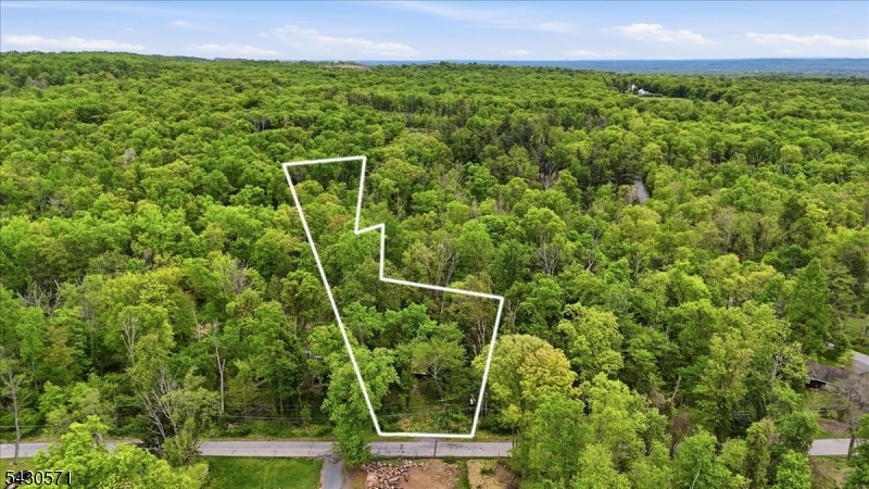 Set on a sprawling parcel in one of Hillsborough's most desirable areas, 763 Montgomery Rd presents a rare opportunity for builders,investors, or buyers looking to create a custom estate property. The existing structures are in distressed condition, making this an ideal candidatefor redevelopment, renovation, or new construction.What truly sets this property apart is the infrastructure already in place utilities includingelectric, well, and septic are available on-site, offering significant value and cost savings for future development. Surrounded by established homesand positioned in a highly sought-after location with convenient access to major roadways, shopping, dining, and top-rated Hillsborough schools,the property combines privacy, potential, and location in one compelling package.Whether you envision a luxury custom home, an investmentproject, or a complete transformation, this is an exceptional opportunity to unlock the full potential of a prime Hillsborough property. Being soldstrictly as-is. Buyer to perform all due diligence regarding zoning, land use, approvals, and intended future use.