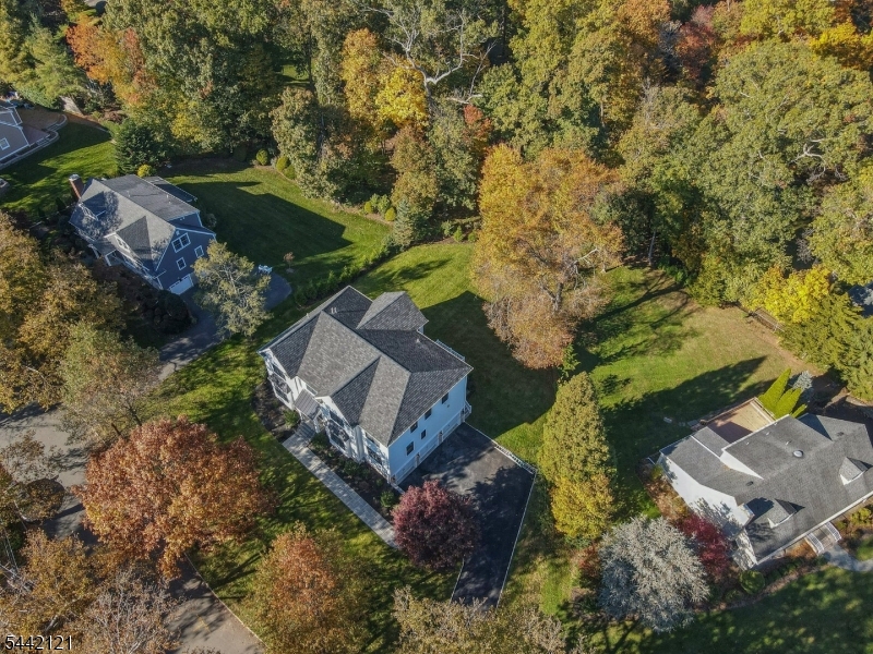 The Hill - Residential