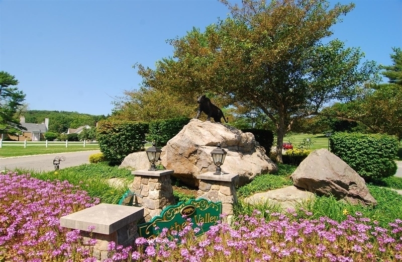 Panther Valley - Residential Lease