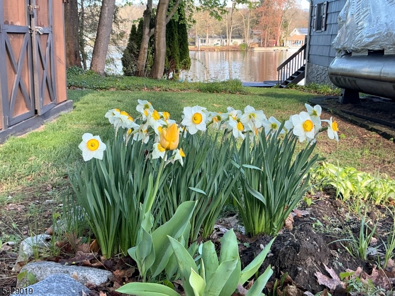 Lake Shawnee - Residential