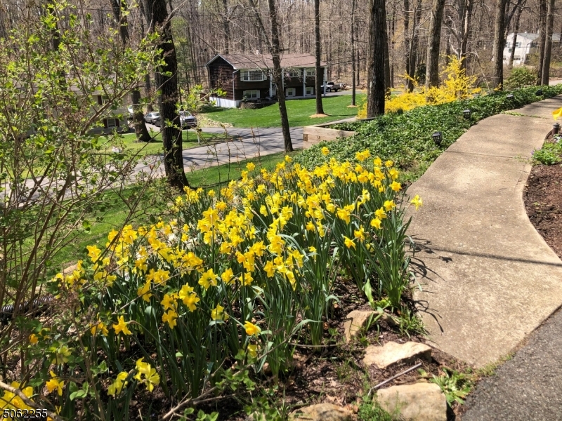 Budd Lake - Residential