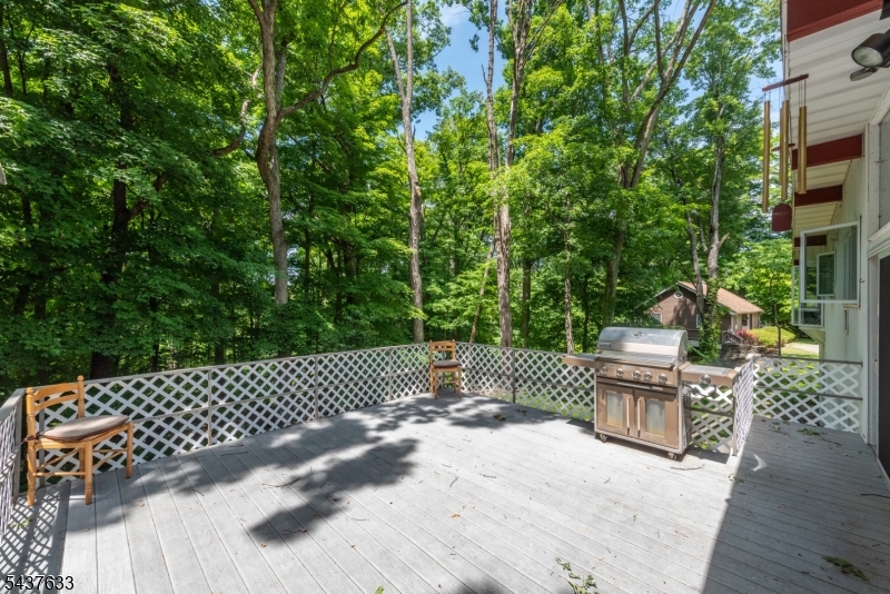 Cupsaw Lake - Residential
