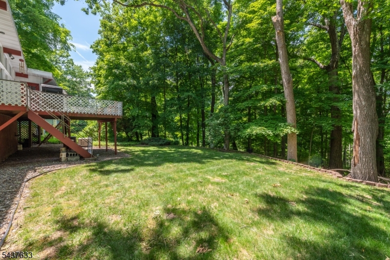 Cupsaw Lake - Residential