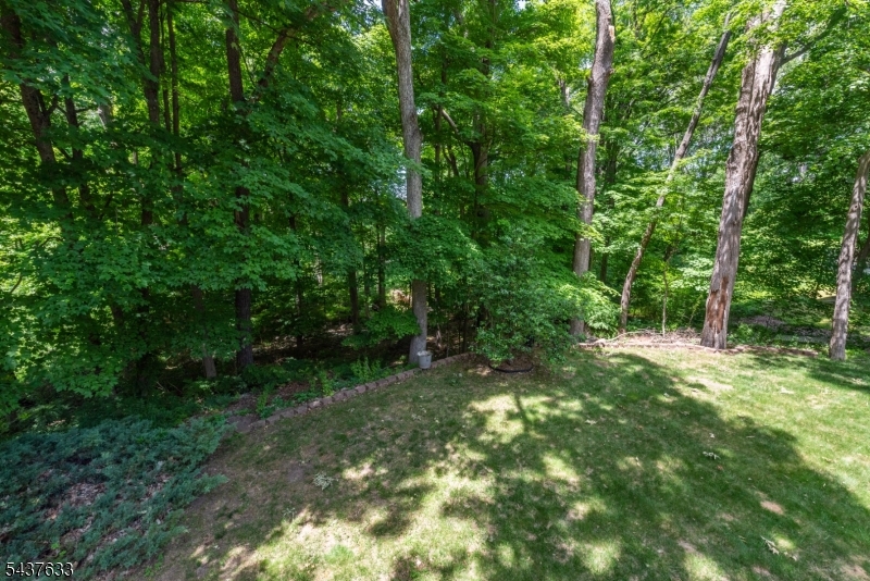 Cupsaw Lake - Residential
