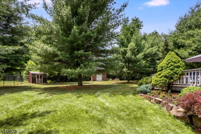 Budd Lake - Residential