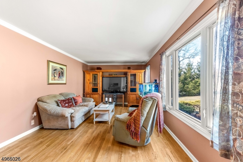Mooney Mountain - Residential