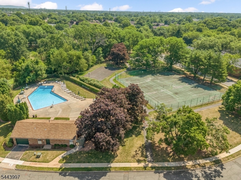 Alexandria at Hillsborough - Residential