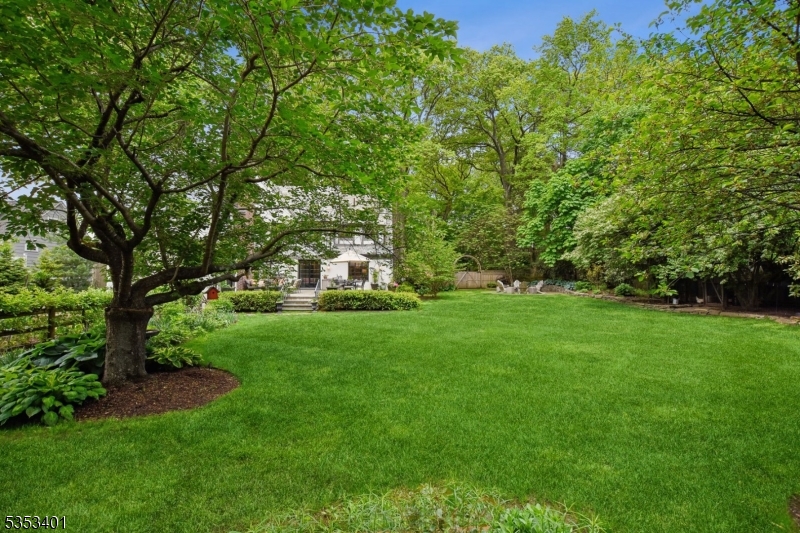 Upper Montclair - Residential