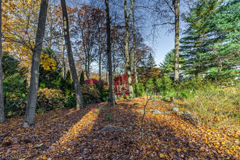 Union Hill - Residential