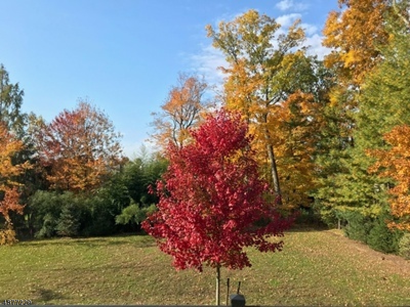 DEERFIELD - Residential