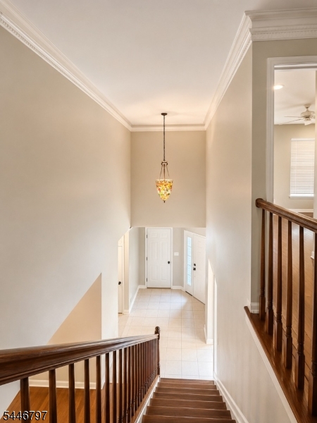 Twin Pines - Residential