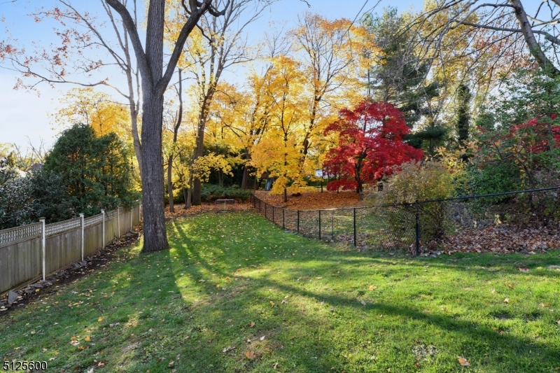 Old Short Hills - Residential