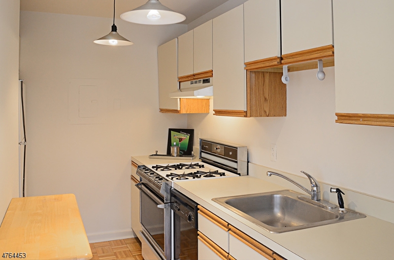 Burnham Park - Residential
