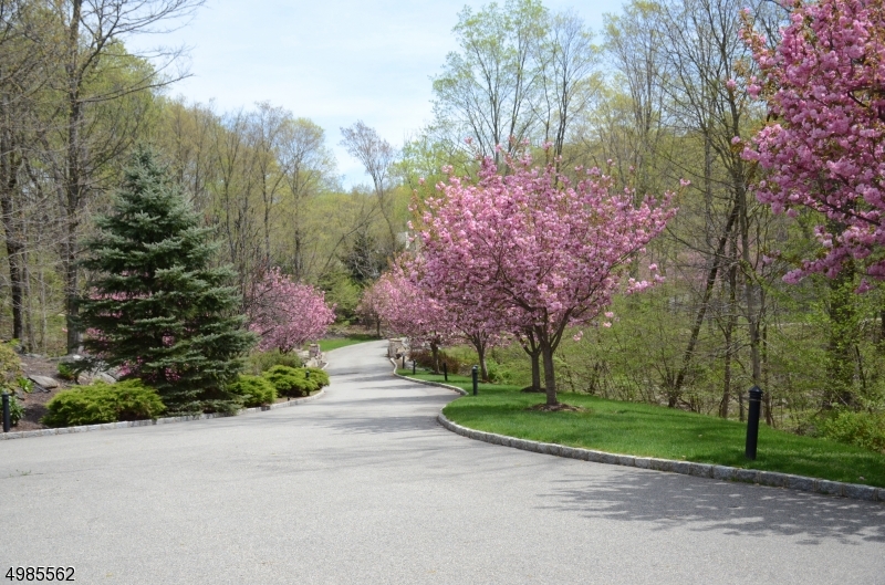 Raine Tree Estates - Residential